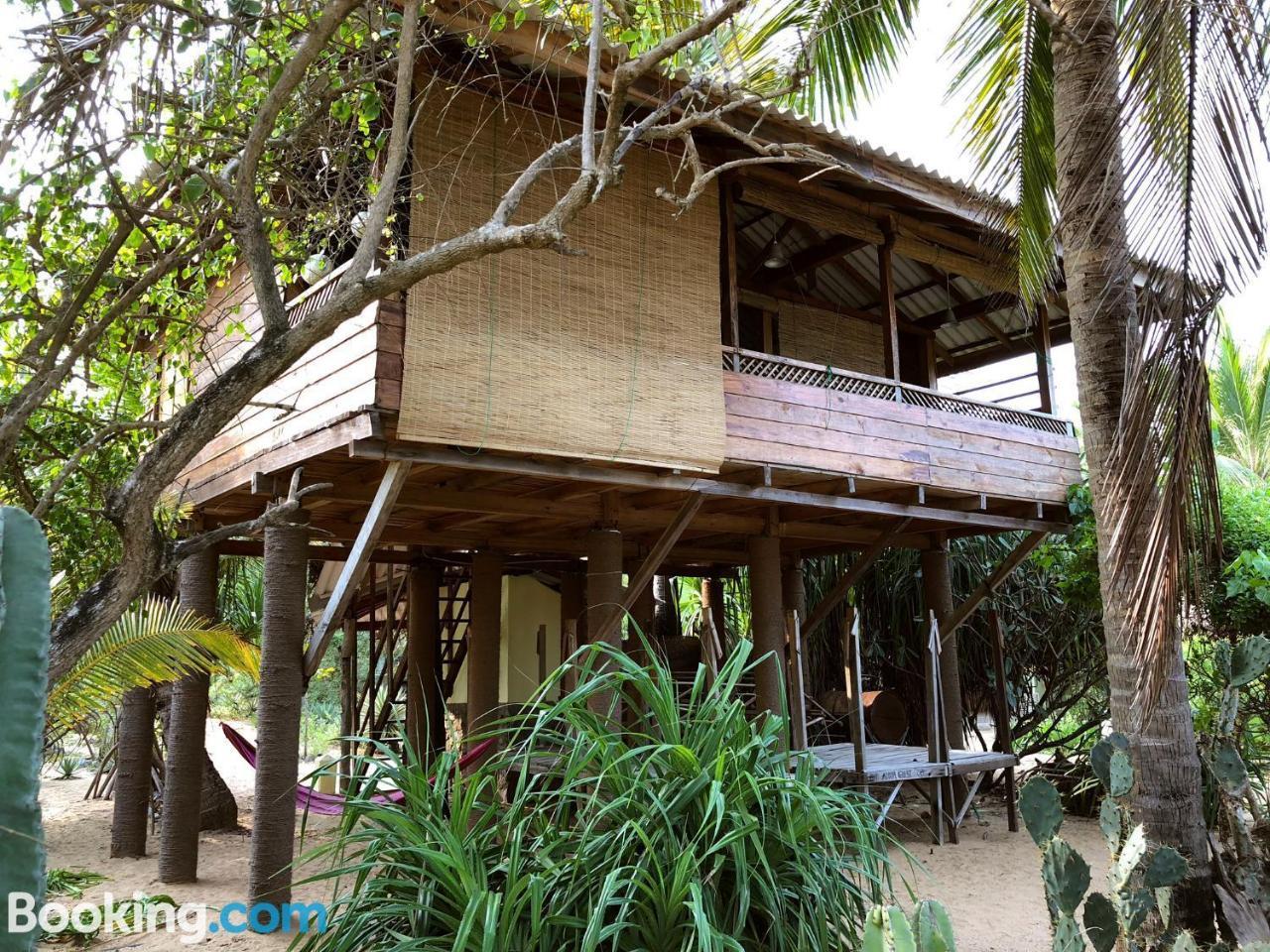 Albero Cabanas Baie d'Arugam Extérieur photo