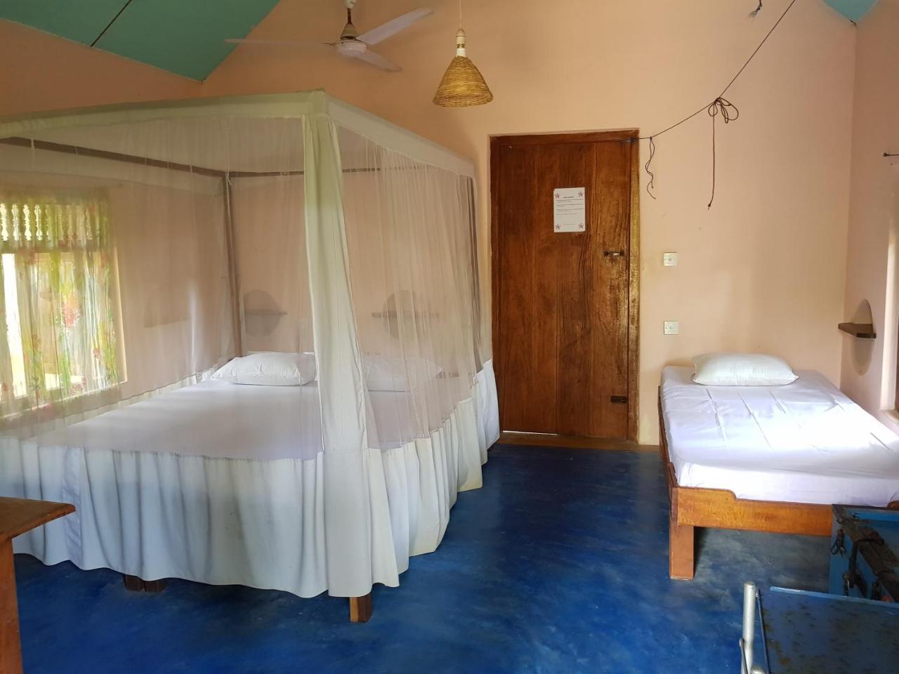 Albero Cabanas Baie d'Arugam Extérieur photo