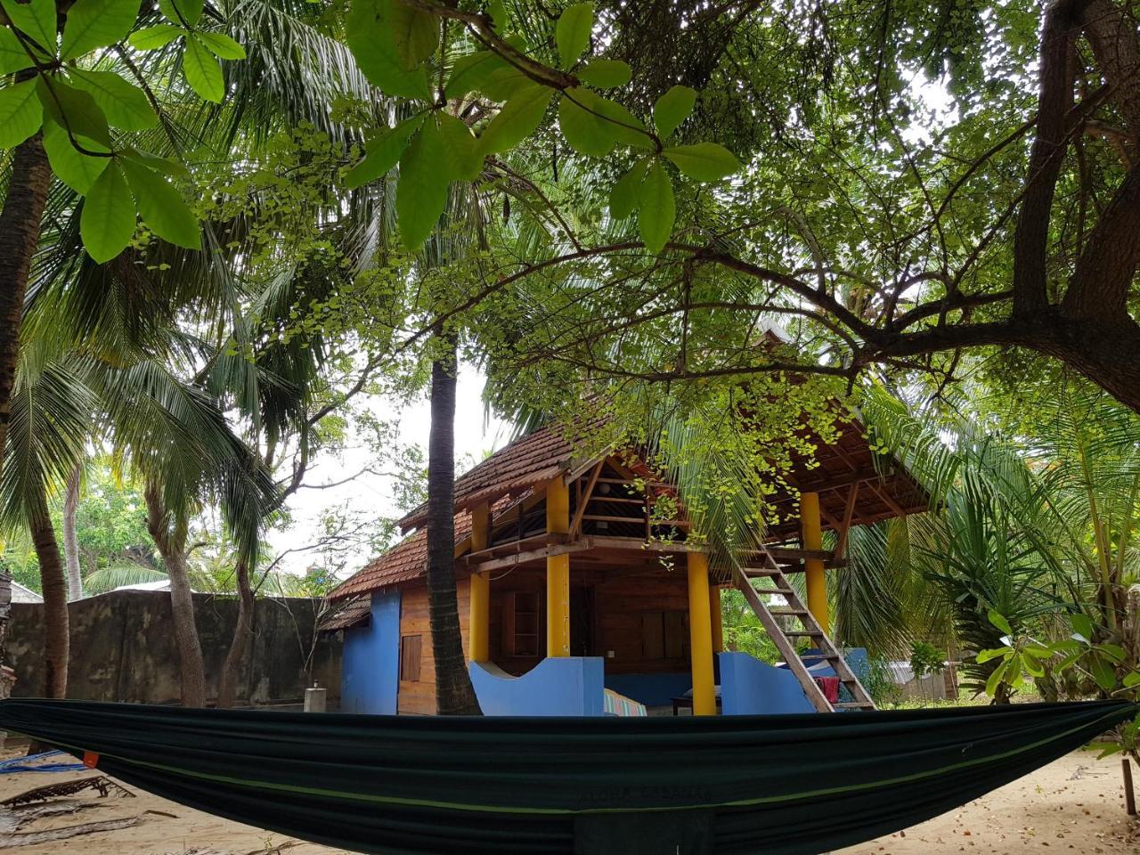 Albero Cabanas Baie d'Arugam Extérieur photo