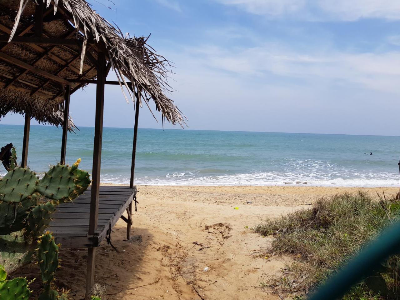 Albero Cabanas Baie d'Arugam Extérieur photo