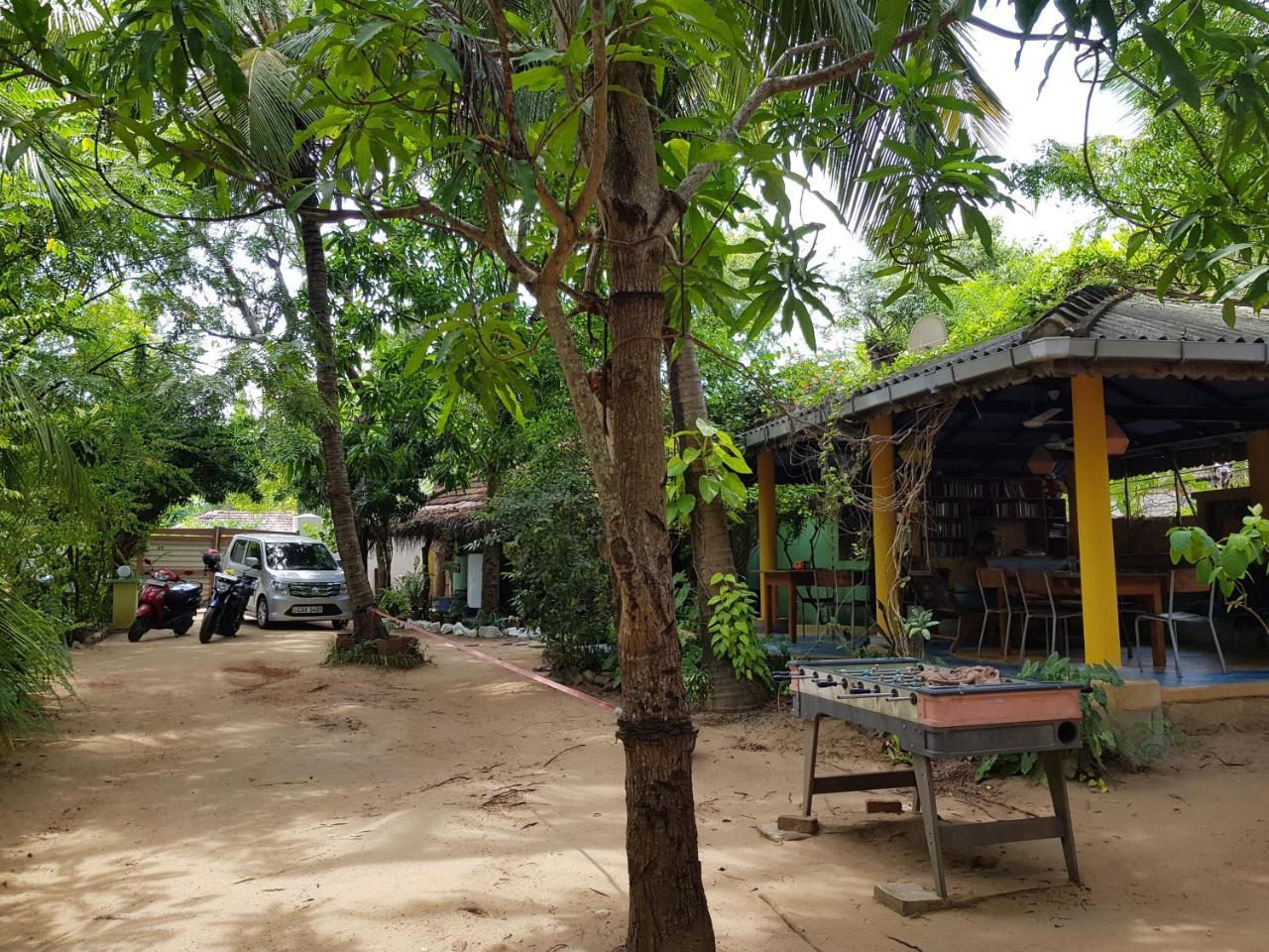 Albero Cabanas Baie d'Arugam Extérieur photo