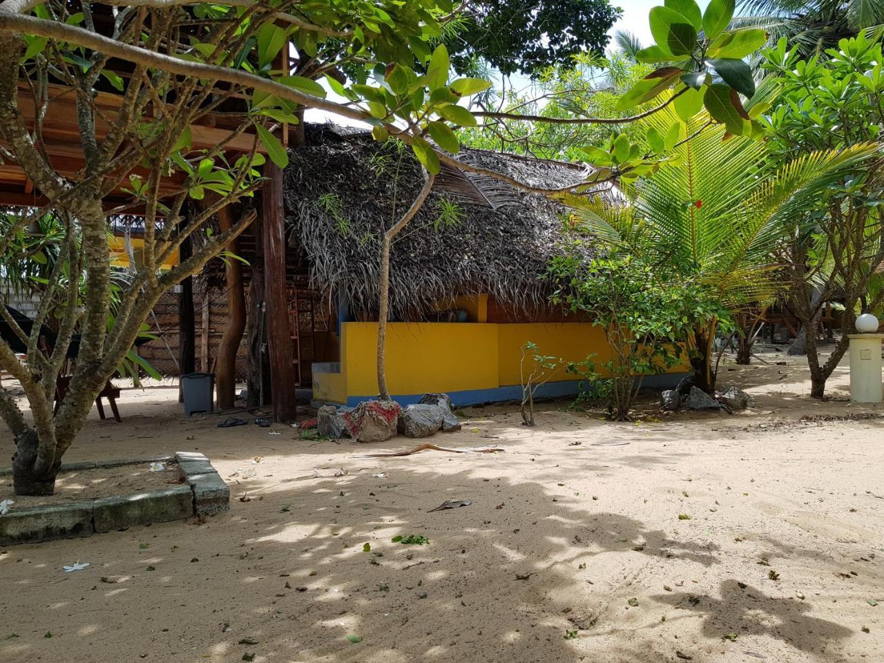 Albero Cabanas Baie d'Arugam Extérieur photo