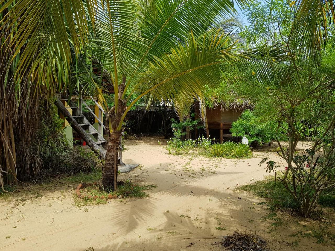 Albero Cabanas Baie d'Arugam Extérieur photo