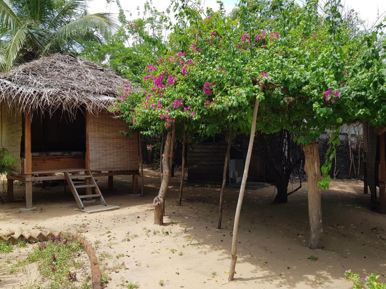 Albero Cabanas Baie d'Arugam Extérieur photo